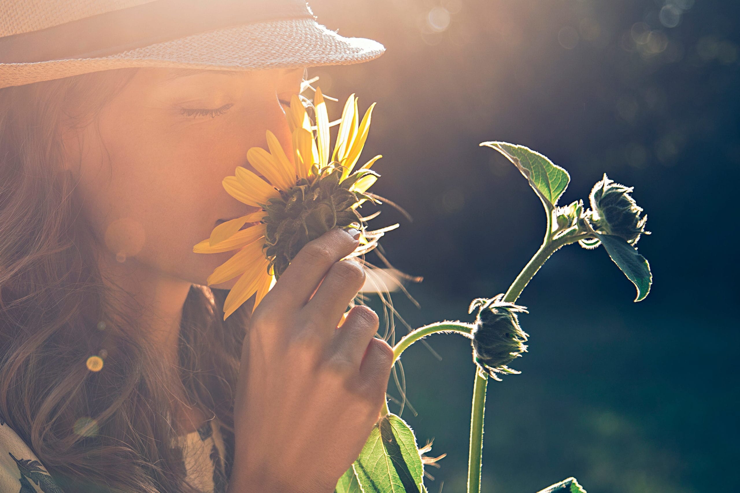 Cursos de Florais de Bach para iniciantes