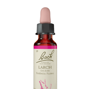 Larch