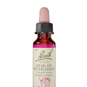 Star of Bethlehem - 10ml