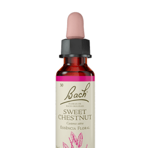 Sweet Chestnut