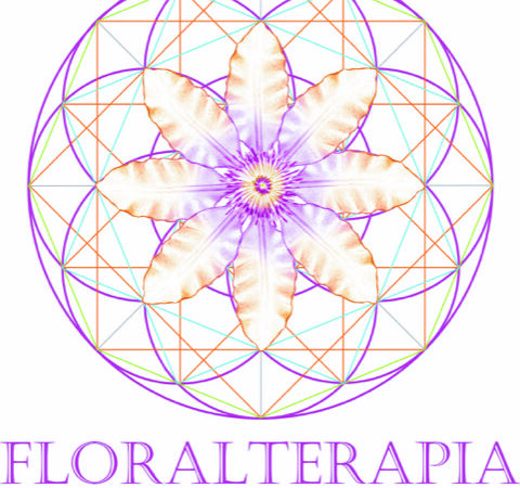 Fases 1 e 2 - Curso Floralterapia: Viva em Altas Frequências.