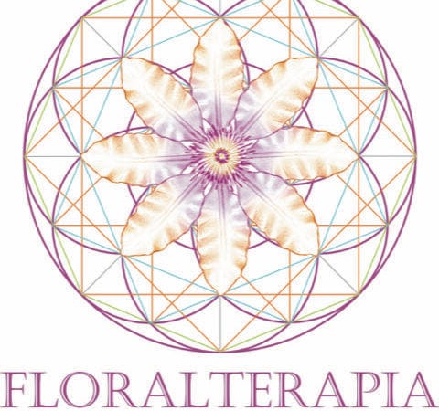 Fases 1 e 2 - Curso Floralterapia: Viva em Altas Frequências.
