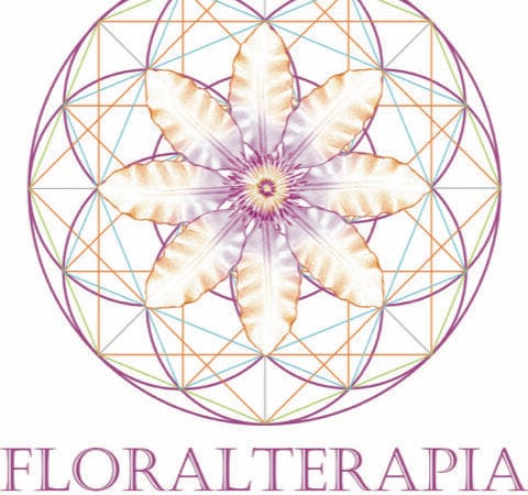 Fases 1 e 2 - Curso Floralterapia: Viva em Altas Frequências.